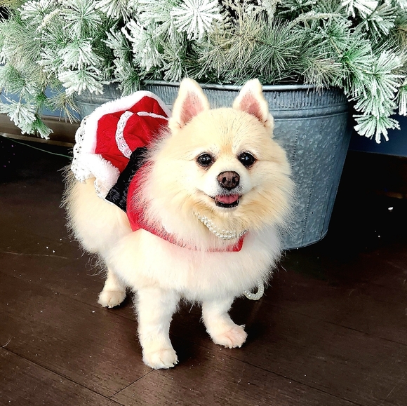 Meet your Posher, Karen - Picture 2 of 2